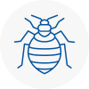 Bed Bug Extermination In East Acton