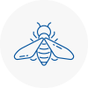 Bee Nest Removal East Acton
