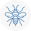 East Acton Hornet Nest Removals