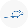 Mice Exterminators In East Acton