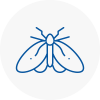 Moth Control Specialists In East Acton