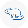 Rat Control East Acton