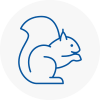 East Acton Rodent Removals